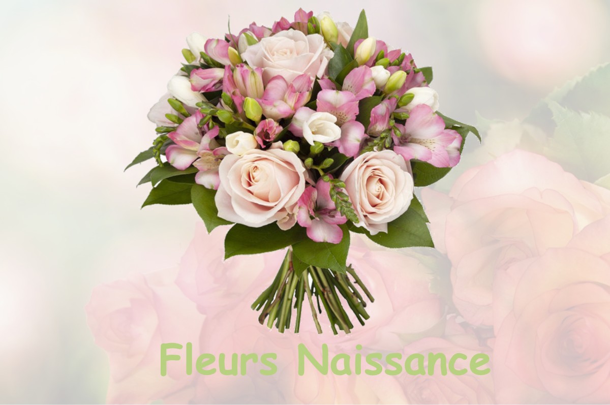 fleurs naissance SAINTE-HONORINE-LA-GUILLAUME